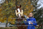 241028_sl_0005_s.JPG