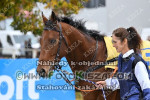 241028_sl_0015_s.JPG