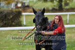241028_sl_0084_s.JPG