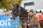 241028_sl_0318_s.JPG