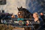 241028_sl_0747_s.JPG
