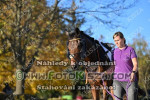241028_sl_0579_s.JPG
