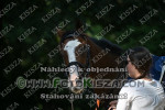 240901_wr_0049_s.jpg