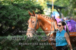 240901_wr_0088_s.jpg
