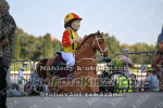 240901_wr_0247_s.jpg