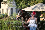 240901_wr_0280_s.jpg