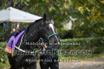 241020_wr_0011_s.jpg