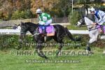 241020_wr_0023_s.jpg