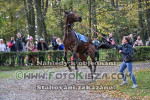 241020_wr_0061_s.jpg