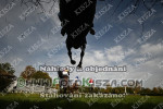 241020_wr_0104_s.jpg