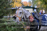 241020_wr_0226_s.jpg