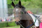 150530_pc_595_s.JPG