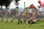 150530_pc_660_s.JPG
