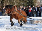 110130_is_273_s.jpg