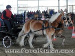 110129_tr_025_s.jpg