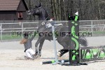 150411_ch_502_s.jpg