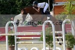 150613_yt_0009_s.JPG