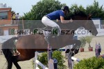 150613_yt_0016_s.JPG
