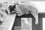 150517_ov_071_s.jpg