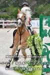 190504_ch_0168_s.JPG