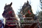 190217_is_0032_s.JPG