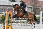 190406_nz_0349_s.JPG