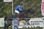 201003_ma_0619_s.JPG