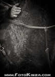 211127_nz_0604_s.jpg