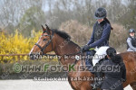 240331_nz_0761_s.jpg