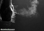 DSC_0012_s.jpg