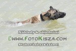 180512_to_0005_s.JPG