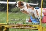 180512_tr_0006_s.JPG