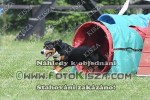 180512_tr_0268_s.JPG