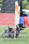 180512_tr_0272_s.JPG