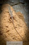 1402_sl_0319_s.jpg