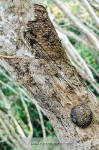 1402_sl_0320_s.jpg