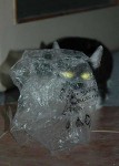 DSC_0033_s.jpg