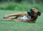 DSC_0068_s.jpg