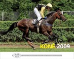 Kone_kor01a_001_s.jpg