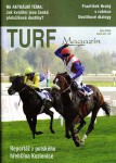 turf10_09_s.jpg